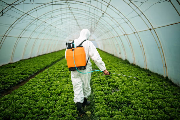 Best Exterminator Services  in Tladega, AL