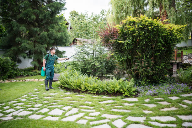 Best Mosquito Control Services  in Tladega, AL