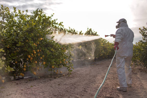 Trusted Talladega, AL Pest Control Experts