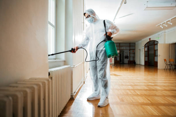 Best Flea Control Services  in Tladega, AL